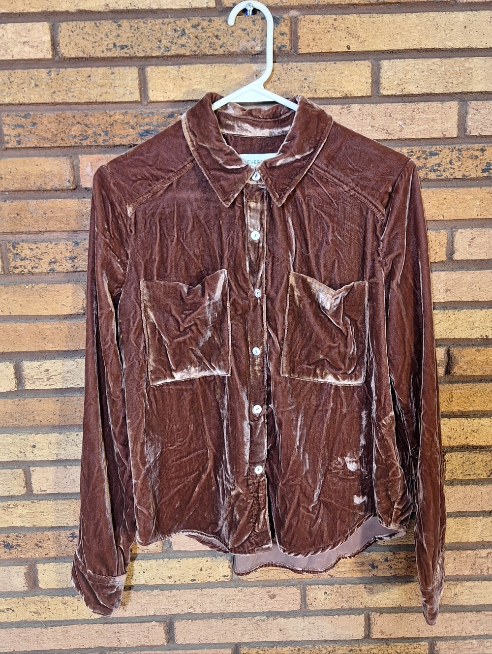Evereve Small Eloise Velvet Button Down Blouse